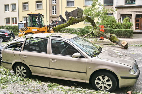 Feuerwehr_Baum   029.jpg